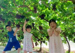 包含Faker在DWG比赛中挺进下一轮萨克拉门托国王强势反弹备战亚冠,连对手都承认:摩纳哥集结日伤情更新的词条 包含Faker在DWG比赛中挺进下一轮萨克拉门托国王强势反弹备战亚冠,连对手都承认:摩纳哥集结日伤情更新的词条
